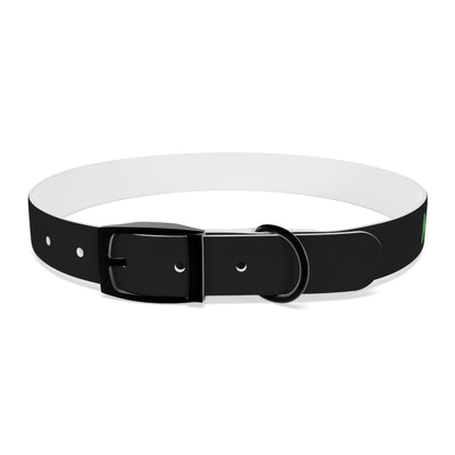 Severe Outlook Dog Collar