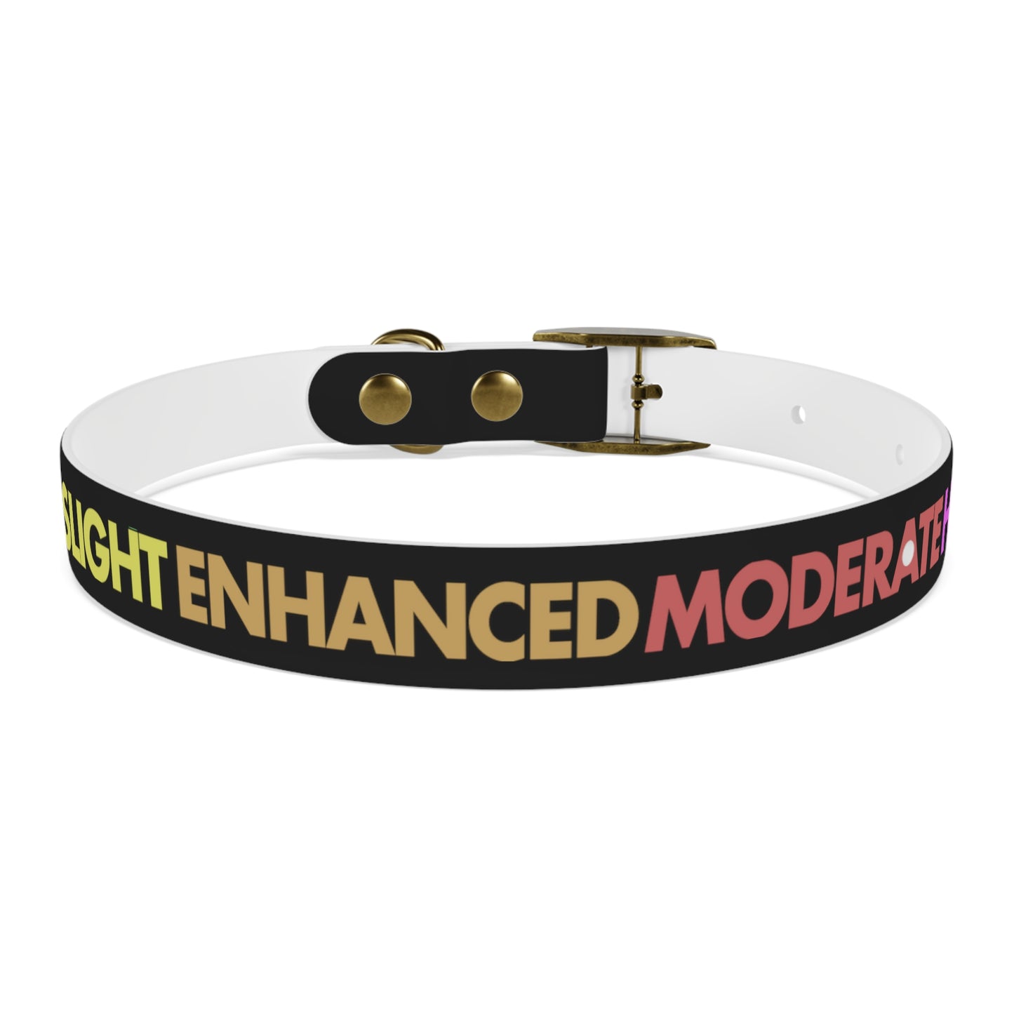 Severe Outlook Dog Collar