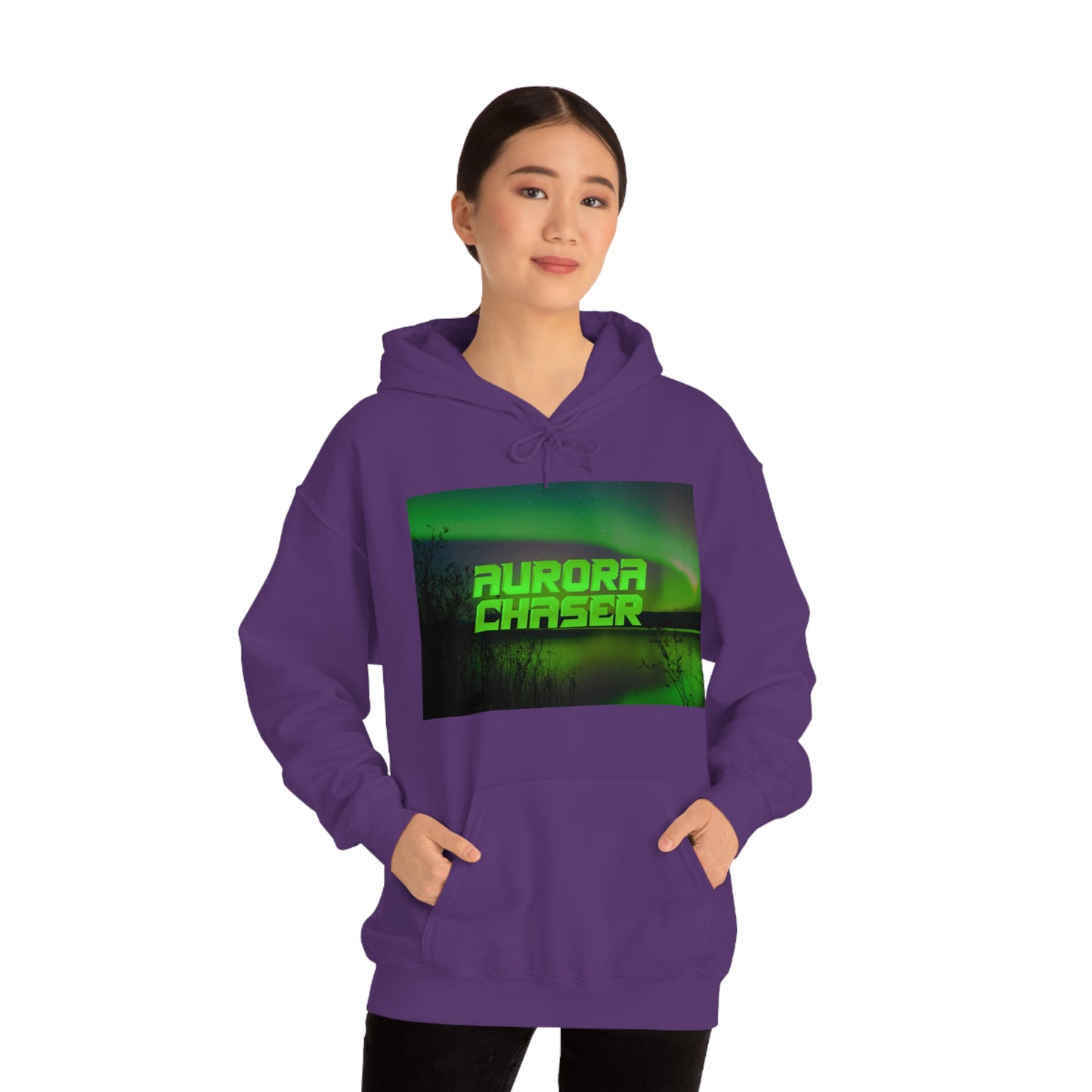 Aurora Chasers Hoodie