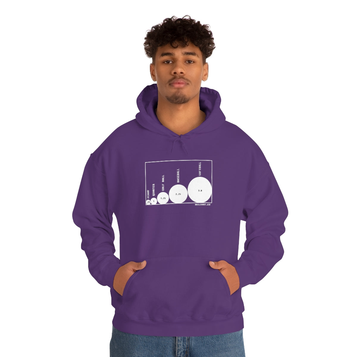 HailChart.exe Hoodie 