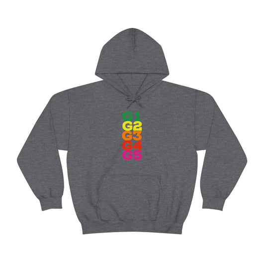 G Level Hoodie