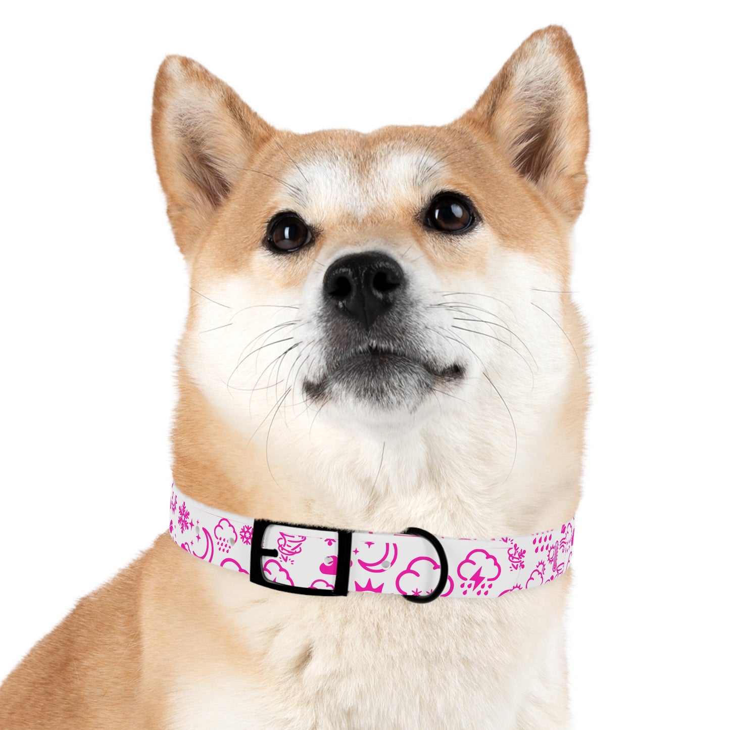 Wx Icon (White/Pink) Dog Collar