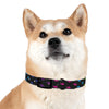 Lightning Icon (Black/Rainbow) Dog Collar