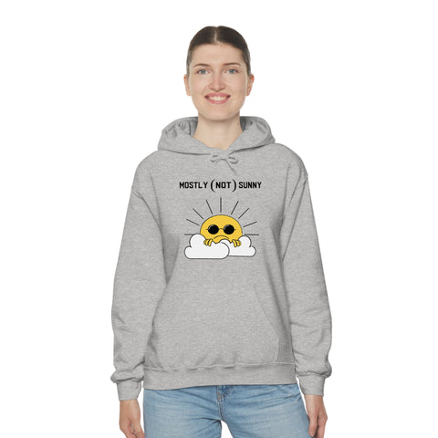 Mostly (Not) Sunny Hoodie