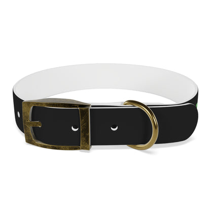 Severe Outlook Dog Collar