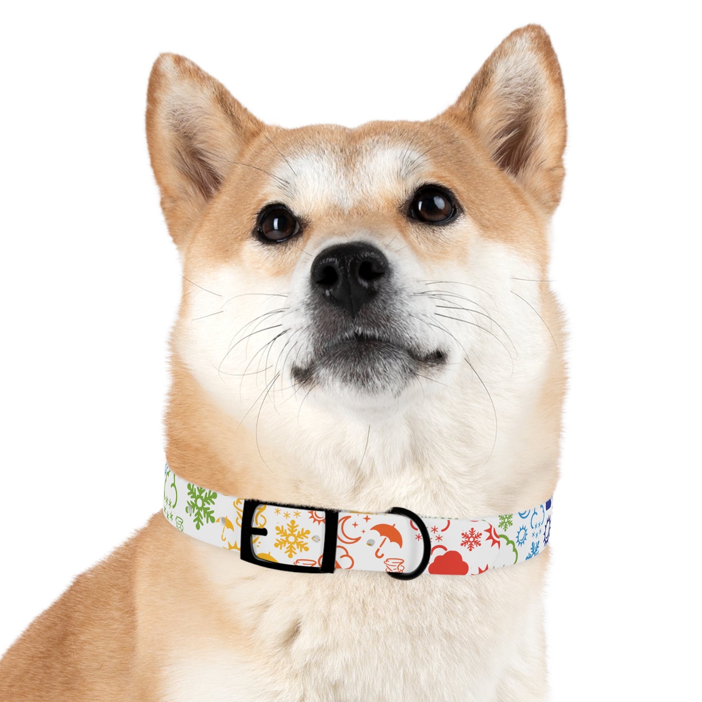 Wx Icon (White/Rainbow) Dog Collar