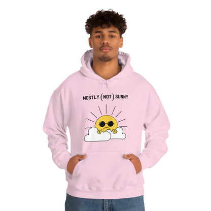 Mostly (Not) Sunny Hoodie