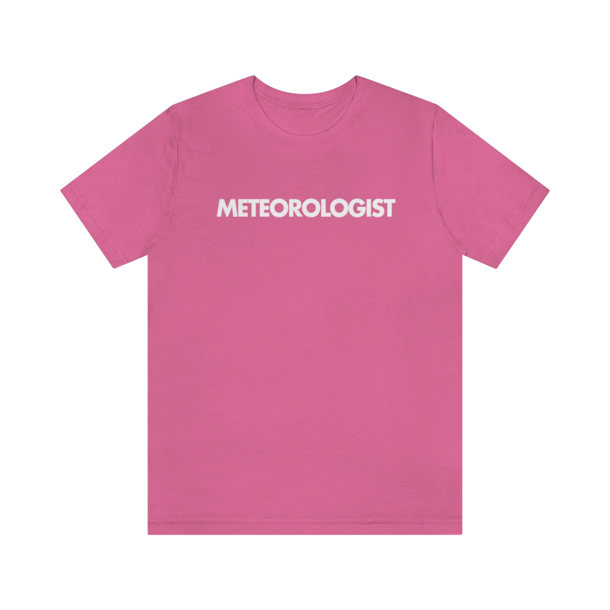 Meteorologist Tee