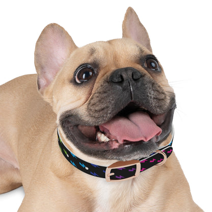 Lightning Icon (Black/Rainbow) Dog Collar