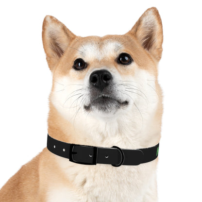 Severe Outlook Dog Collar