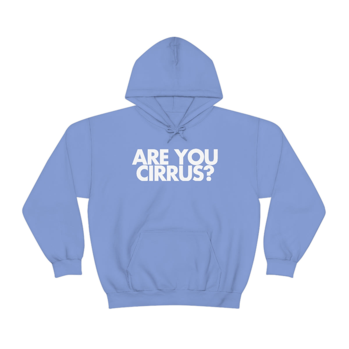 Are You Cirrus? Hoodie