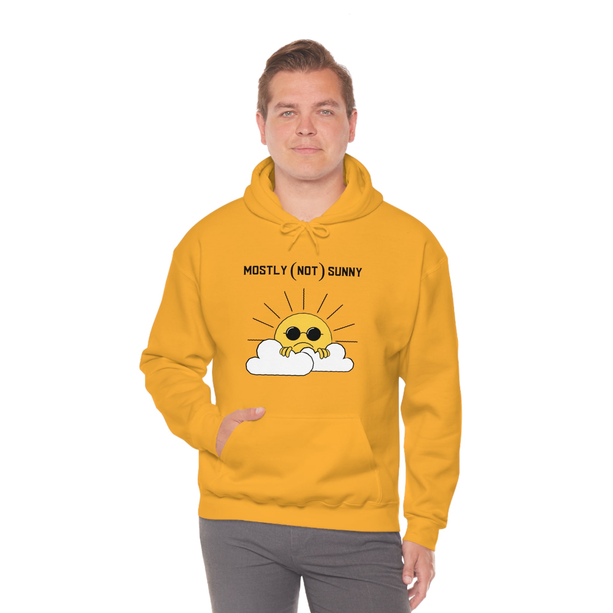 Mostly (Not) Sunny Hoodie 