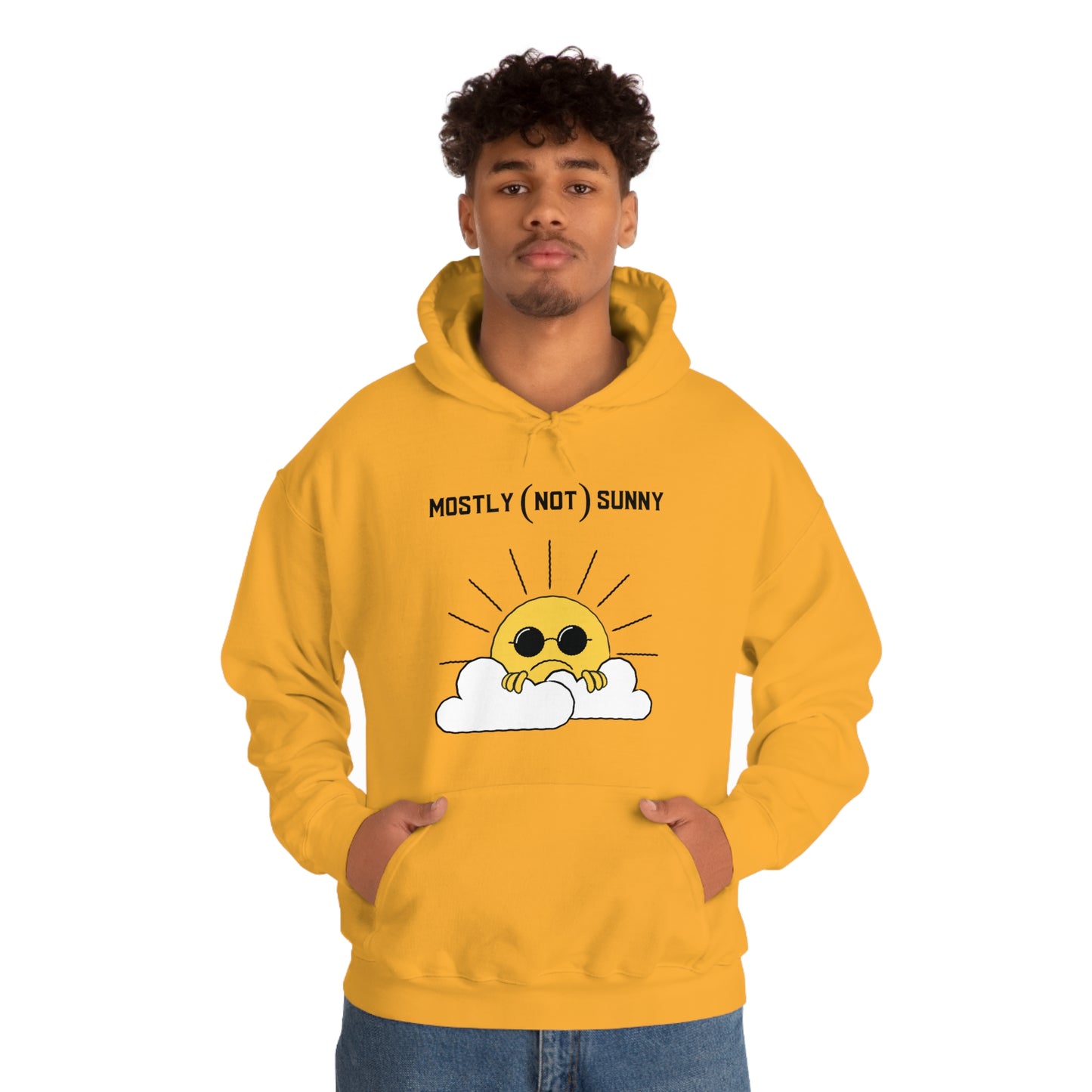 Mostly (Not) Sunny Hoodie