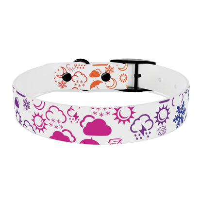 Wx Icon (White/Rainbow) Dog Collar