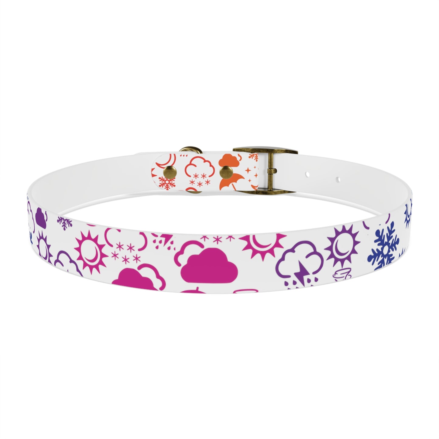 Wx Icon (White/Rainbow) Dog Collar