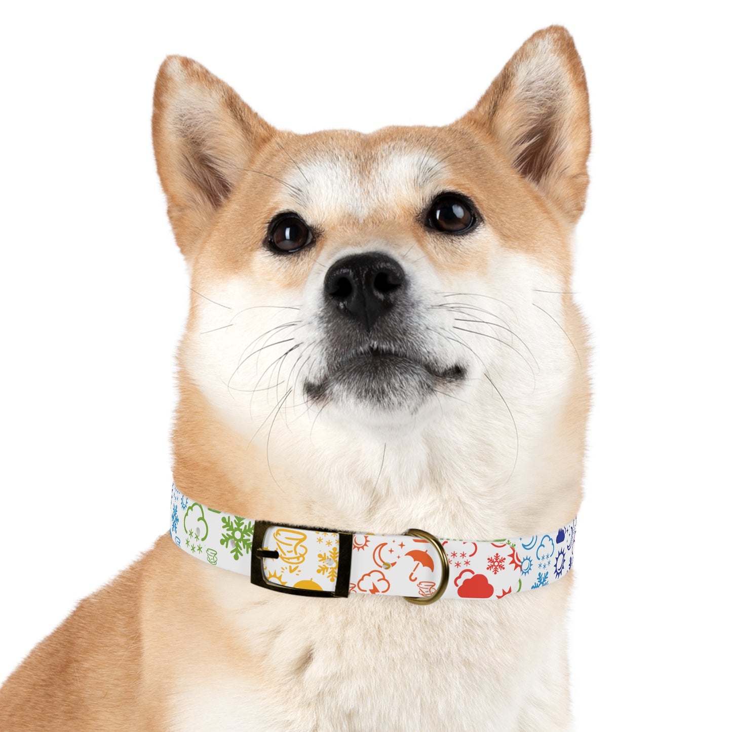 Wx Icon (White/Rainbow) Dog Collar