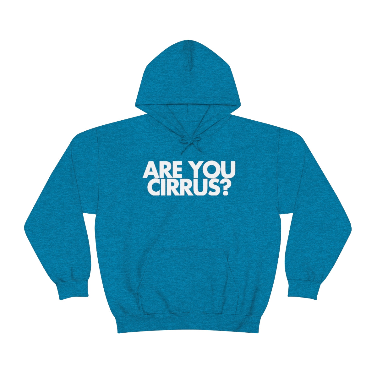 Are You Cirrus? Hoodie 