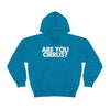 Are You Cirrus? Hoodie