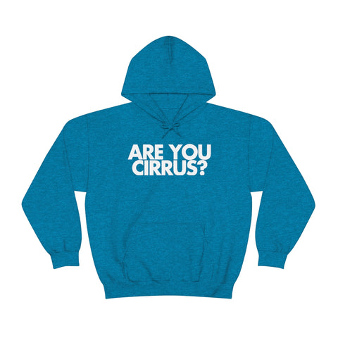 Are You Cirrus? Hoodie