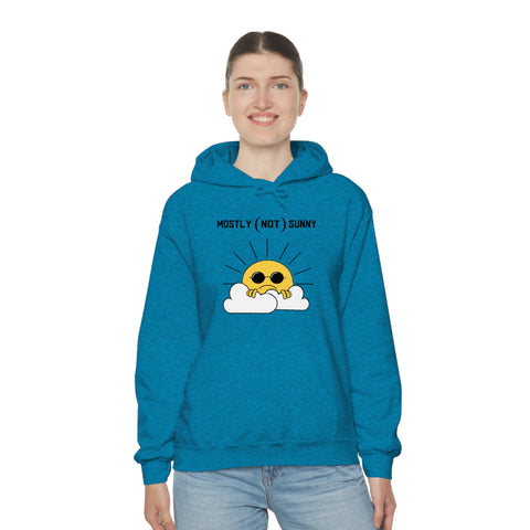 Mostly (Not) Sunny Hoodie