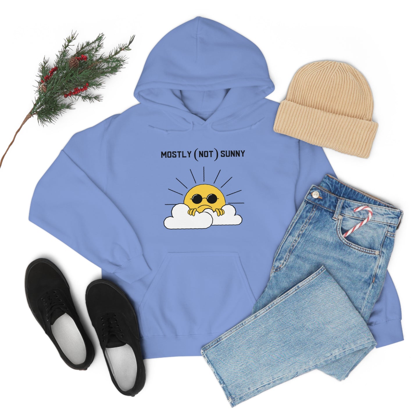 Mostly (Not) Sunny Hoodie