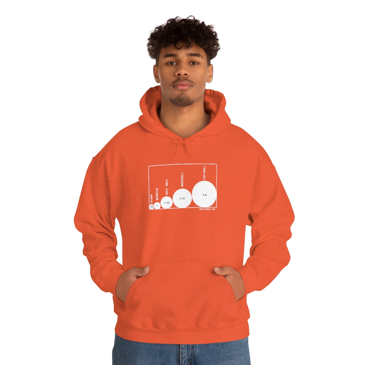 HailChart.exe Hoodie 