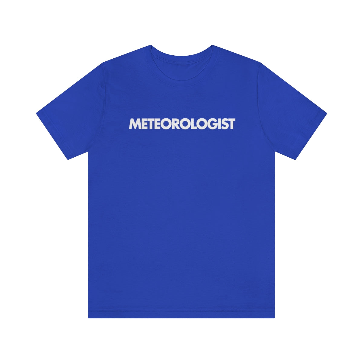 Meteorologist Tee