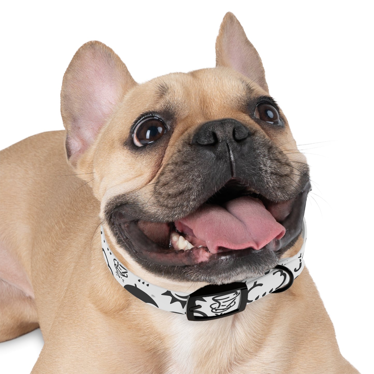 Wx Icon (White/Black) Dog Collar