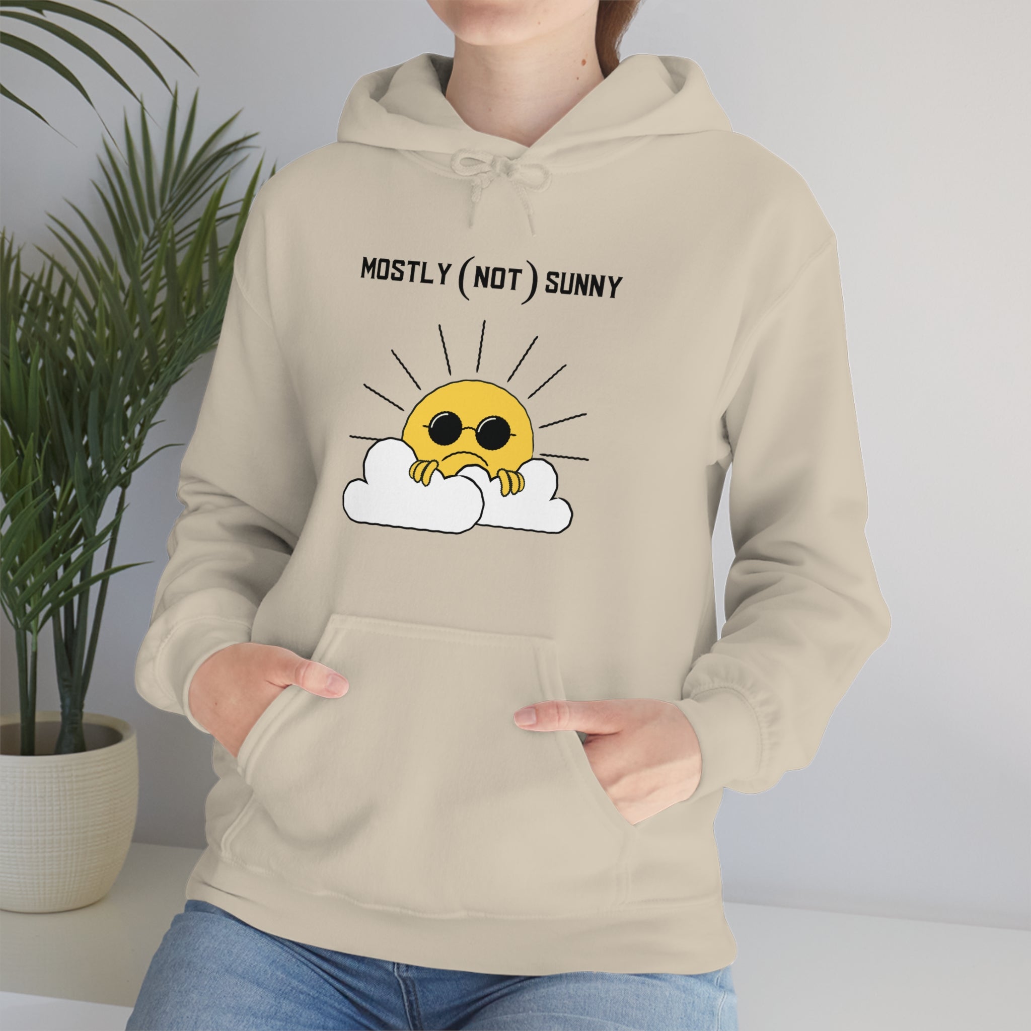 Mostly (Not) Sunny Hoodie 