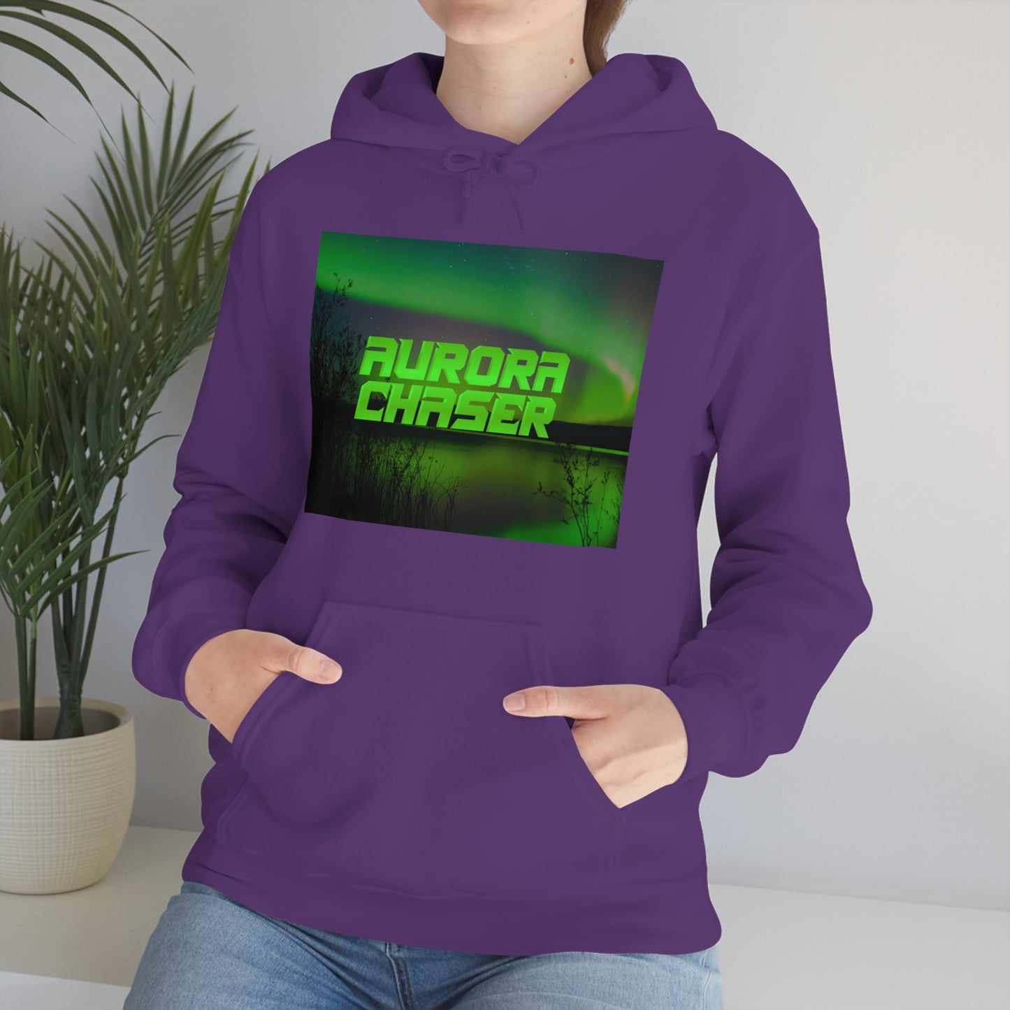 Aurora Chasers Hoodie