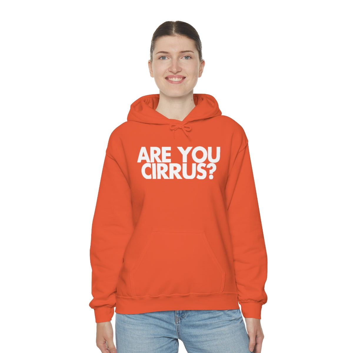 Are You Cirrus? Hoodie