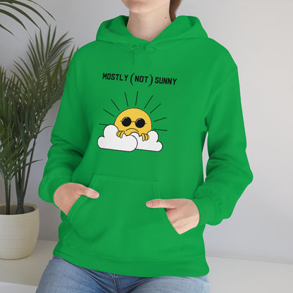 Mostly (Not) Sunny Hoodie