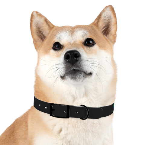 Radar Print Dog Collar