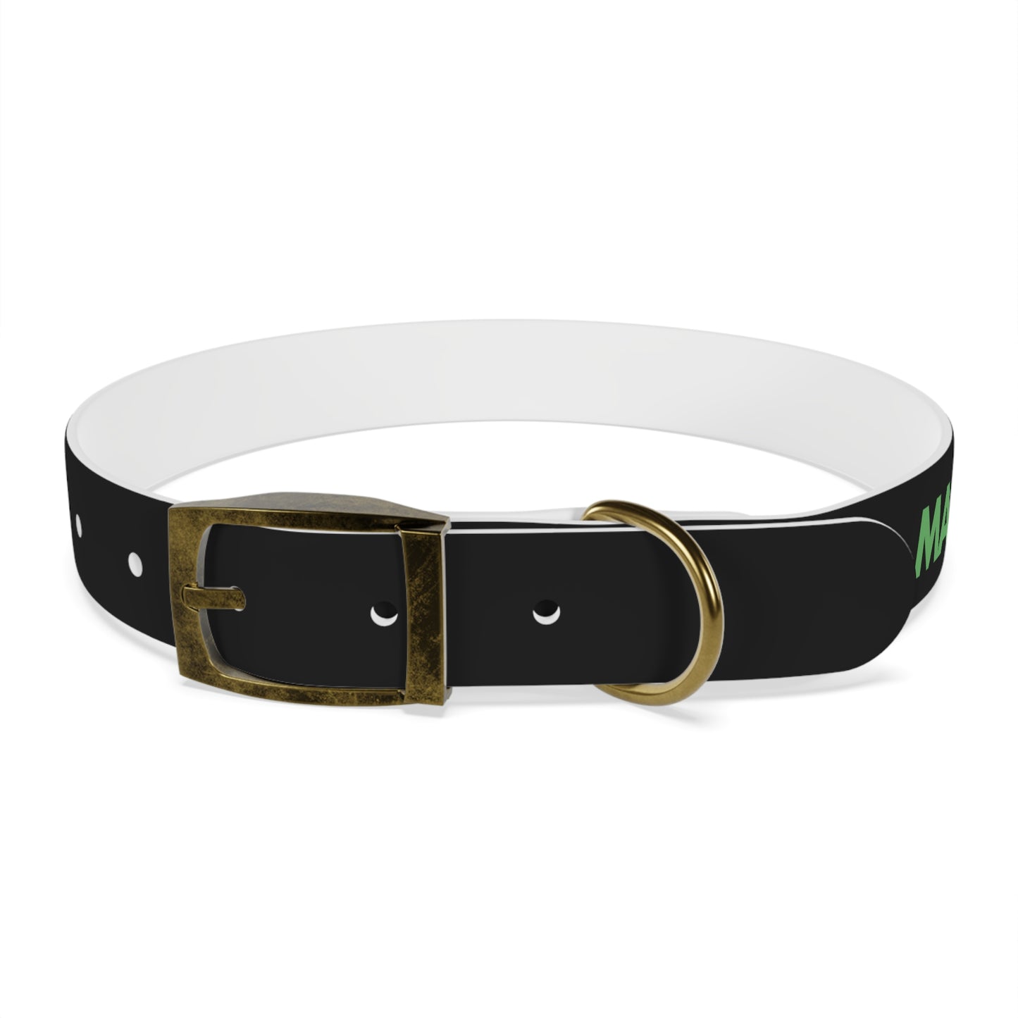 Severe Outlook Dog Collar