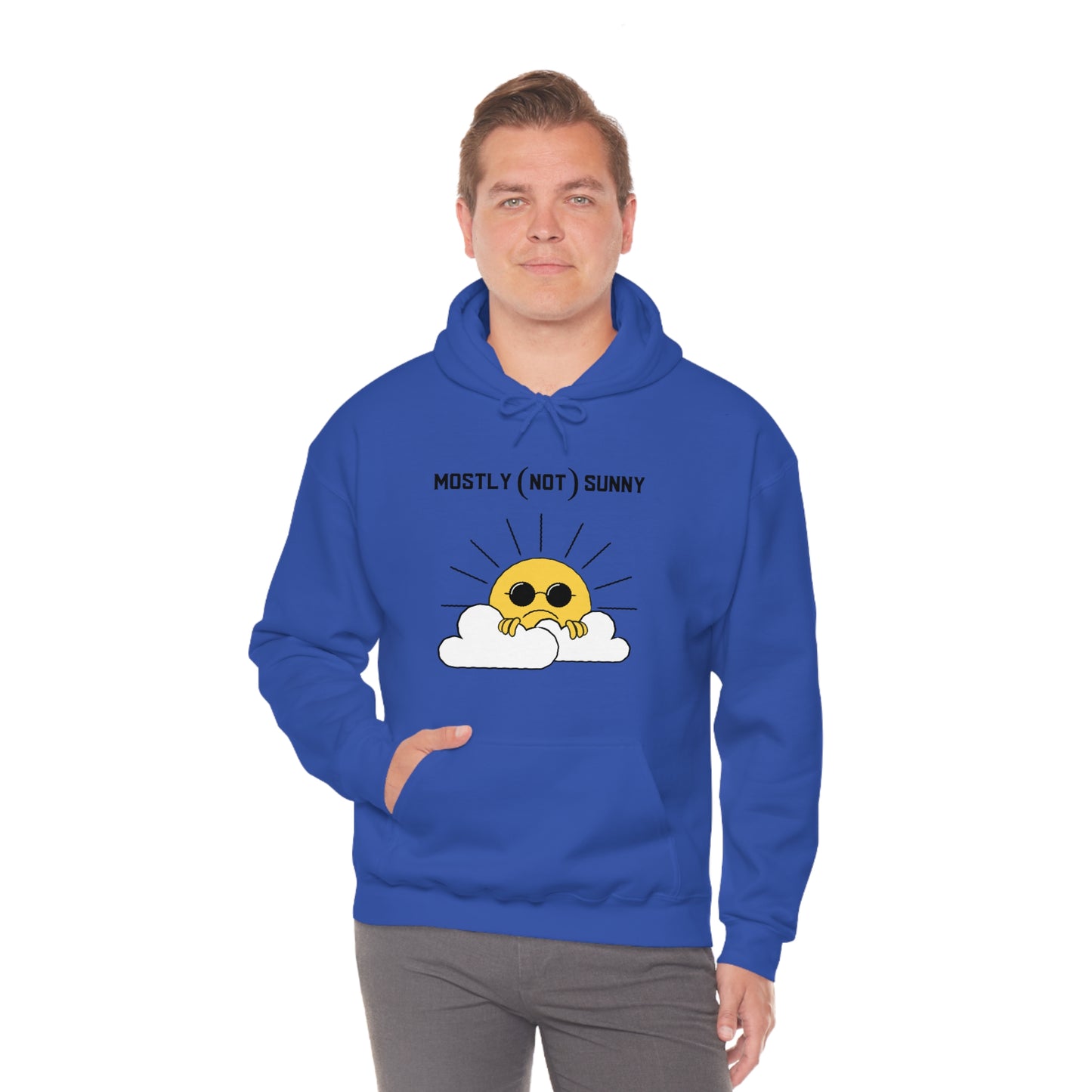 Mostly (Not) Sunny Hoodie