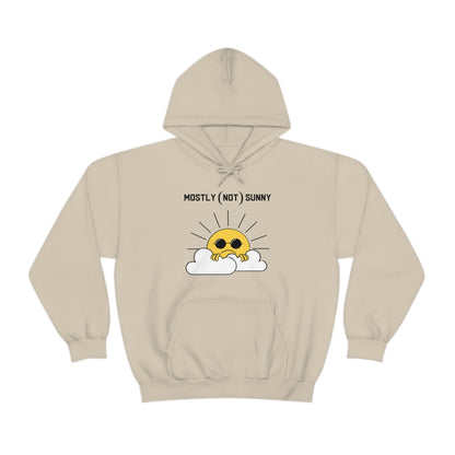 Mostly (Not) Sunny Hoodie