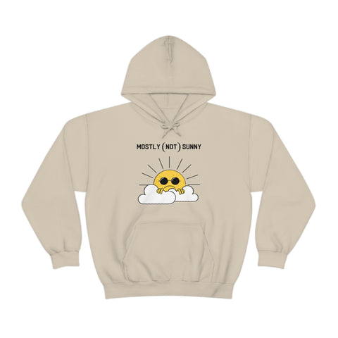 Mostly (Not) Sunny Hoodie