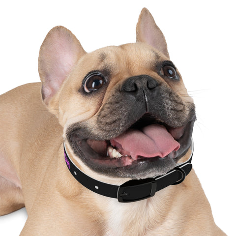 Severe Outlook Dog Collar