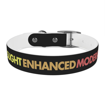 Severe Outlook Dog Collar