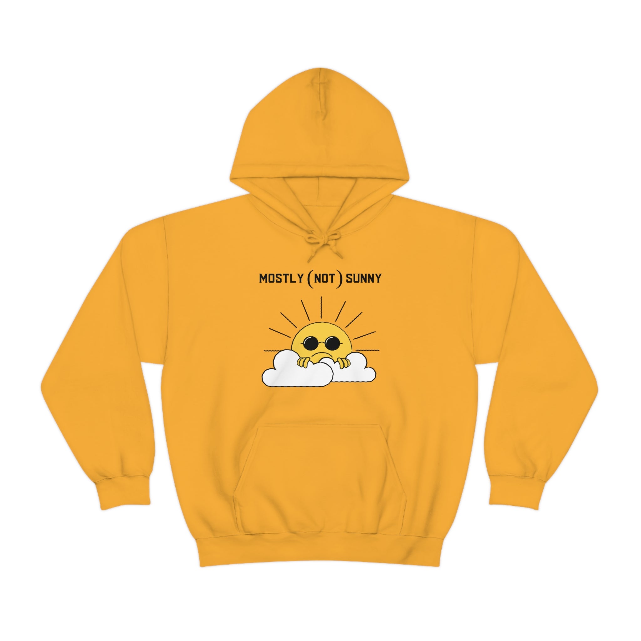 Mostly (Not) Sunny Hoodie 