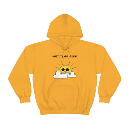 Mostly (Not) Sunny Hoodie