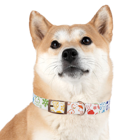 Wx Icon (White/Rainbow) Dog Collar