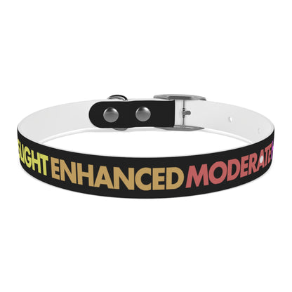 Severe Outlook Dog Collar